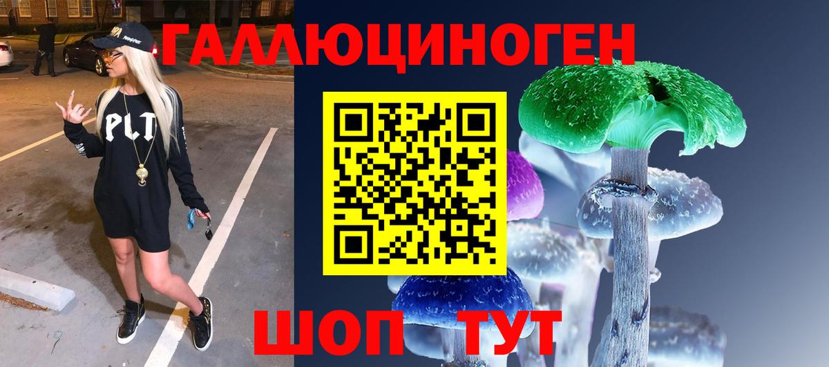 Каннабис  МДМА  Вход с VPN  МЕФ кристаллы  Где купить наркотики?  А ПВП СК кристаллы  ГАШИШ  Клин  КОКАИН 