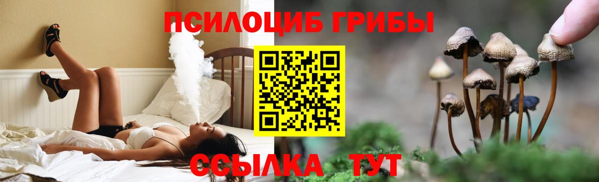 Галлюциногенные грибы Cubensis  Вход с VPN  Клин  Галлюциногенные грибы Cubensis 